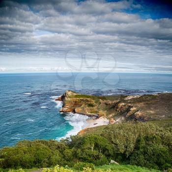 blur     in south africa coastline cape of good hope  and natural park reserve