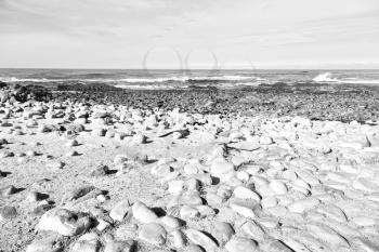 blur     in south africa coastline cape of good hope  and natural park reserve