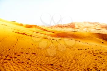 the empty quarter  and outdoor  sand  dune in oman old desert rub al khali 