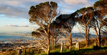 blur in south africa cape town panoramic   from table mountain   tree nature and cloud