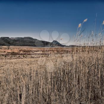 blur  in south africa valley of desolation dirty road rock tree and sky