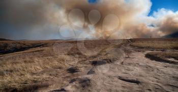 blur in south africa plant      land bush   and tree near the  fire  mountain