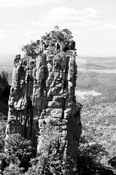 blur  in  south africa  blyde river canyon plant rock and pond water   