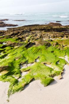 blur in south africa   sky ocean  de hoop reserve nature and rocks