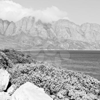 blur  in south africa coastline indian ocean  near the mountain and beach with pkant and bush