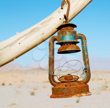 in iran blur old dead tree in the empty desert of persia lamp oil on branch