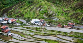 blur  in  philippines  terrace field for coultivation of rice  from banaue unesco site 
