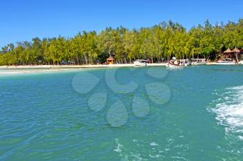 ile du cerfs seaweed in indian ocean mauritius mountain   sand isle  sky and rock