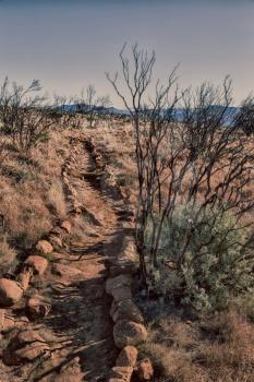 blur   in south africa valley of desolation dirty road rock tree and sky
