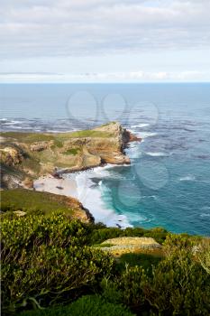 blur     in south africa coastline cape of good hope  and natural park reserve