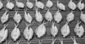 blur  in  philippines   lots of fish salted and dry preparation for the market