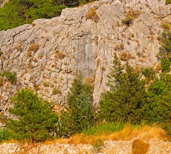  anatolia    from     the hill in asia turkey termessos old architecture and nature 