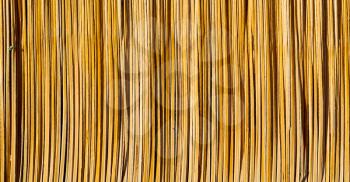 abstract   texture of a bamboo wall background in oman 