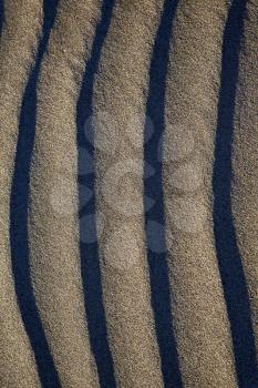 in lanzarote  spain texture abstract of a  dry sand and the beach 

