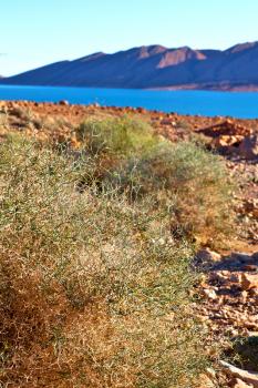 in   valley  morocco            africa the atlas dry mountain ground isolated hill 