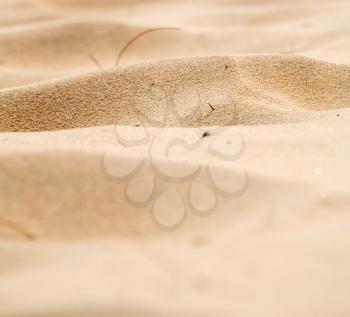 blur  in south africa close up of the coastline beach abstract sand texture background