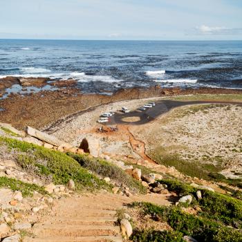 blur  in south africa coastline indian ocean  near the cape of good hope  and bush