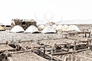  danakil  ethiopia africa  in the  national park camping for tourist and typical oitside wooden bed made of wicker 