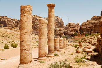 in petra jordan the antique street full of columns and architecture heritage