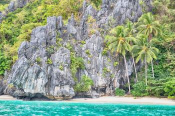 blur in philippines view from a boat of  palm cliff beach and rock from pacific ocean