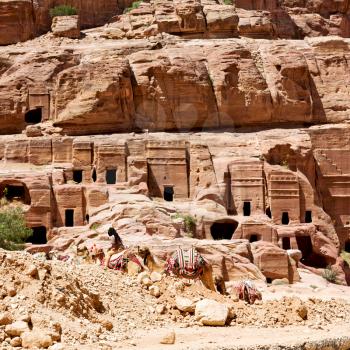 tomb in the antique site of petra in jordan the beautiful wonder of the world
