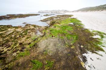 blur in south africa   sky ocean  de hoop reserve nature and rocks