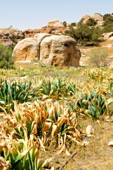 in jordan the scenic valley of dana natural  reserve for walking 
