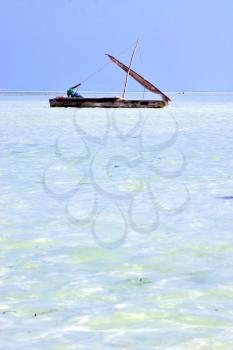 zanzibar beach  seaweed in indian ocean tanzania    sand isle   sky and boat
