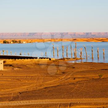 sunshine in the desert of morocco sand and  lake        dune