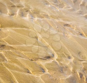 morocco   in africa brown coastline wet sand beach near atlantic ocean