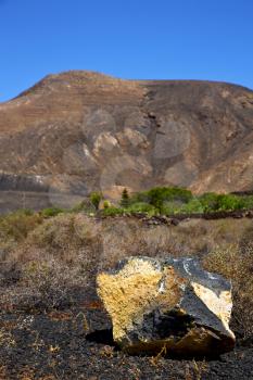 
 volcanic timanfaya  rock stone sky  hill and summer in los volcanes lanzarote spain plant flower bush
