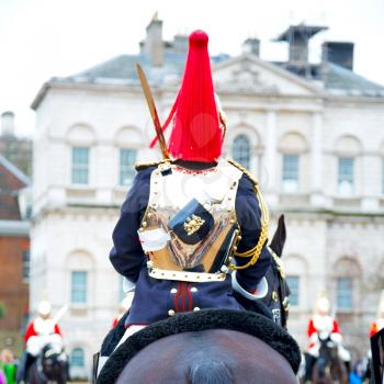 in london england horse and cavalry for     the queen