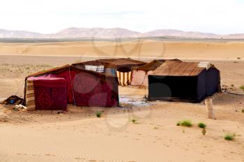 tent in  the desert of morocco sahara and rock  stone    sky