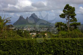 cloudy mountain plant tree and hill in trou aux cerfs mauritius