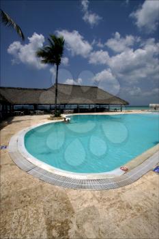  republica dominicana pool tree palm  peace marble and relax near the caribbean beach 