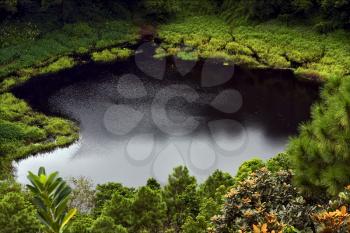  lake mountain plant tree and hill in trou aux cerfs mauritius 