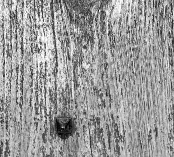 abstract texture of a brown antique wooden old door in italy   europe