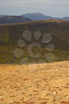 car viticulture  winery lanzarote spain la geria vine screw grapes wall crops  cultivation barrel
