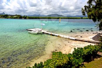  beach seaweed in indian ocean madagascar  people   sand isle      sky    and rock