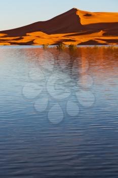 sunshine in the desert of morocco sand and  lake        dune