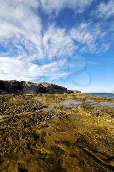  light  water  in lanzarote  isle foam rock spain landscape  stone sky cloud beach  

