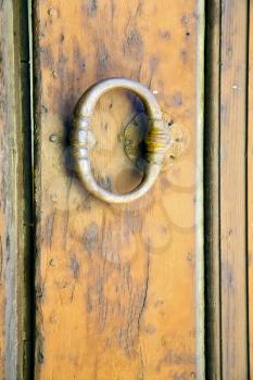 varese abstract  rusty brass brown knocker in a   closed wood door venegono italy