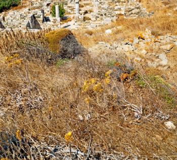 in delos greece the historycal    acropolis and old ruin site