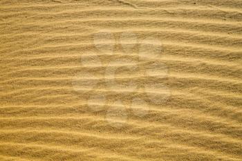 the brown sand dune   in the sahara morocco desert 