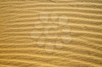 the brown sand dune   in the sahara morocco desert 