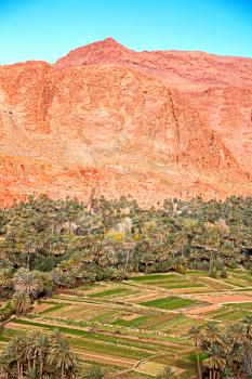  in todra gorge morocco africa and  village