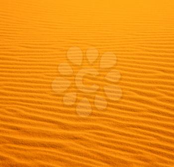 in the yellow desert of morocco lonely   dune hill