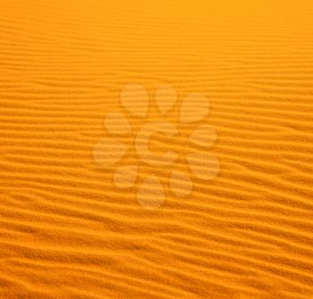 in the yellow desert of morocco lonely   dune hill