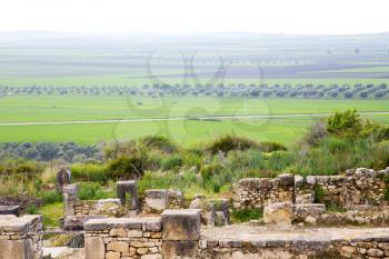 volubilis in morocco africa the old roman deteriorated monument and site