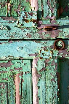 abstract  spain canarias brass brown knocker in a green closed wood  door  lanzarote 
